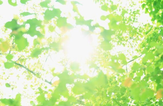 韓国語学校・オンラインでマスターできる｜コリアンカレッジ